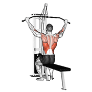 Bajada Por Cable Con Barra Para Lats (pro Lat Bar)