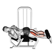 Curl De Piernas Acostado