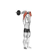 Press Francés Con Barra Ez