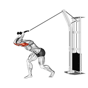 Extensión De Tríceps Con Cable Sobre La Cabeza