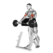 Curl De Bíceps Con Barra Ez