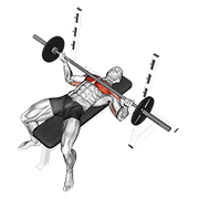 Press Banca Con Barbell Y Agarre Inverso Ancho