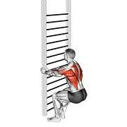 Remo Sentado Con Peso Corporal