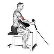 Curl De Bíceps Con Cuerda Uno Brazo En Banco Preendedor