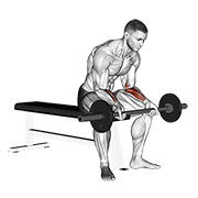 Curl De Muñeca Con Barbell