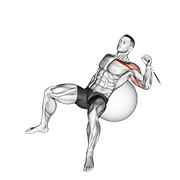 Press Inclinado Con Cable En Bola De Ejercicio