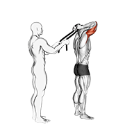 Extensión De Tríceps Sentado Con Toalla