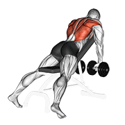 Remo Inclinado Con Mancuernas