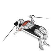 Press De Banco Con Cable