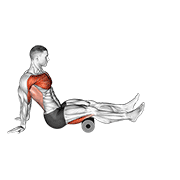 Rodillo De Hombro Flexor Depresor Retráctil Sentado