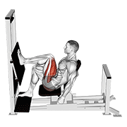 Prensa Horizontal Unílatera