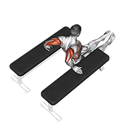 Fondos De Tríceps (entre Bancos) - Variante Extrema