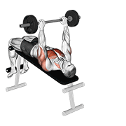 Dominada Con Barra En Banco Inclinado