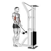 Curl De Bíceps Con Cable