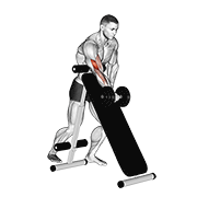 Curl De Bíceps Con Mancuerna De Pie (sobre Banco Inclinado)