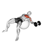 Vuelo De Pecho Con Mancuerna En Bola De Ejercicio