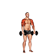 Press De Hombros Con Mancuernas