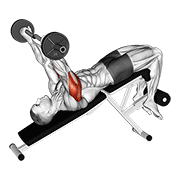 Extensión De Tríceps En Banco Declinado Con Barra Ez