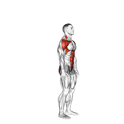 Paso Hacia Atrás Con Alcance