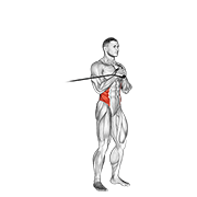 Press Vertical Con Banda De Resistencia