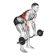 Remo En Barra Ez Con Agarre Inverso