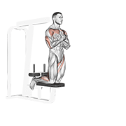 Curl Invertido De Pierna