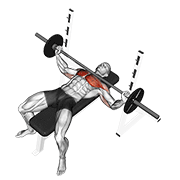 Press Banca Con Barbell