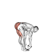 Peso Muerto Con Piernas Rectas Con Banda