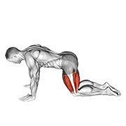 Estiramiento De Cuádriceps En Posición De Cuatro Patas - Variante Elevada