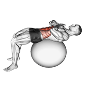 Crunch Con Balón De Estabilidad