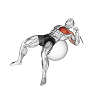 Press De Uno De Cable En Bola De Ejercicios