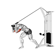 Extensión De Tríceps Con Cuerda En Polea Alta