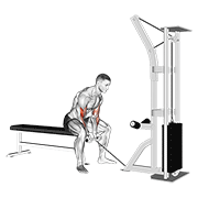 Curl De Bíceps Con Cable