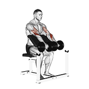 Curl De Bíceps Con Mancuernas Inverso