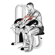 Curl De Bíceps Con Agarre Martillo