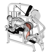 Extensión De Cadera Con Máquina