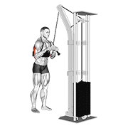Bajada De Triceps Con Cable (barra V) (con Brazo Fijador)