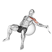 Vuelo Inclinado Con Cable En Bola De Ejercicio