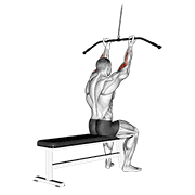 Curl De Bíceps Con Cable