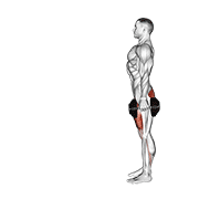 Zancada Con Mancuernas