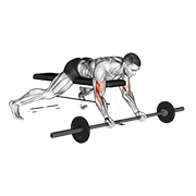 Curl De Bíceps Acostado Con Barbell