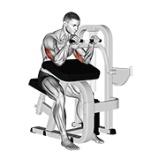 Extensión De Tríceps Con Palanca