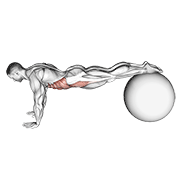 Pull-in (con Balón De Estabilidad)