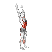 Toque De Dedos A Los Lados (hombre)