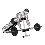 Curl Prono Inclinado Con Barbell