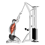 Remo Cable Una Mano Alto Con Rodillas