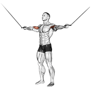 Curl De Bíceps Con Cable (inner Curl)