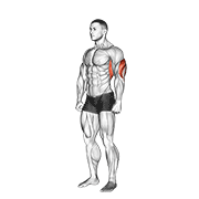 Estiramiento De Tríceps Sobre La Cabeza