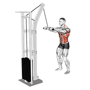 Remo En Máquina De Cable Tipo Thibaudeau