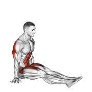 Sentadilla V En El Suelo